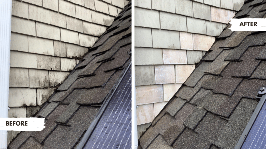 Before and after photos of siding replaced by Sound Painting Solutions