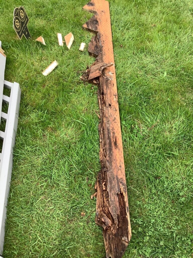 Wood rot repair in Seattle